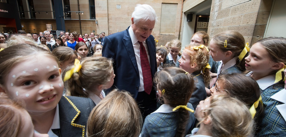 Sydney Celebrates Sir David Attenborough’s 100th Birthday At The Australian Museum