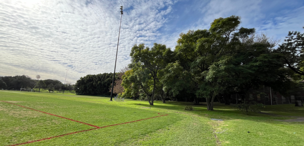 Callan Park Upgrade Program Advances With Balmain Road Field Approval