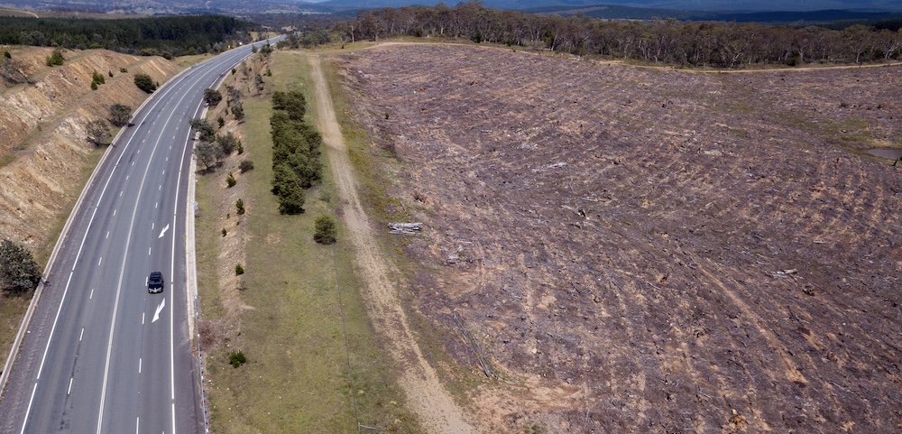 Greens Demand Legislation Repeal After Data Reveals 16% Increase In Land Clearing In NSW