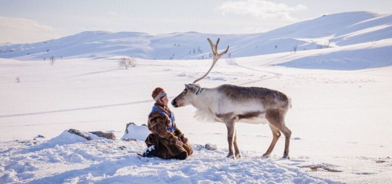 2026 nordic film festival