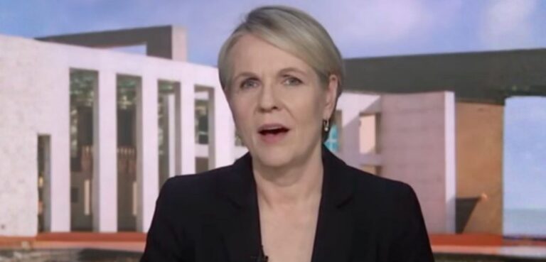 Tanya Plibersek Urges Safe Sex Discussion Following Alleged Sydney Choking Fatality