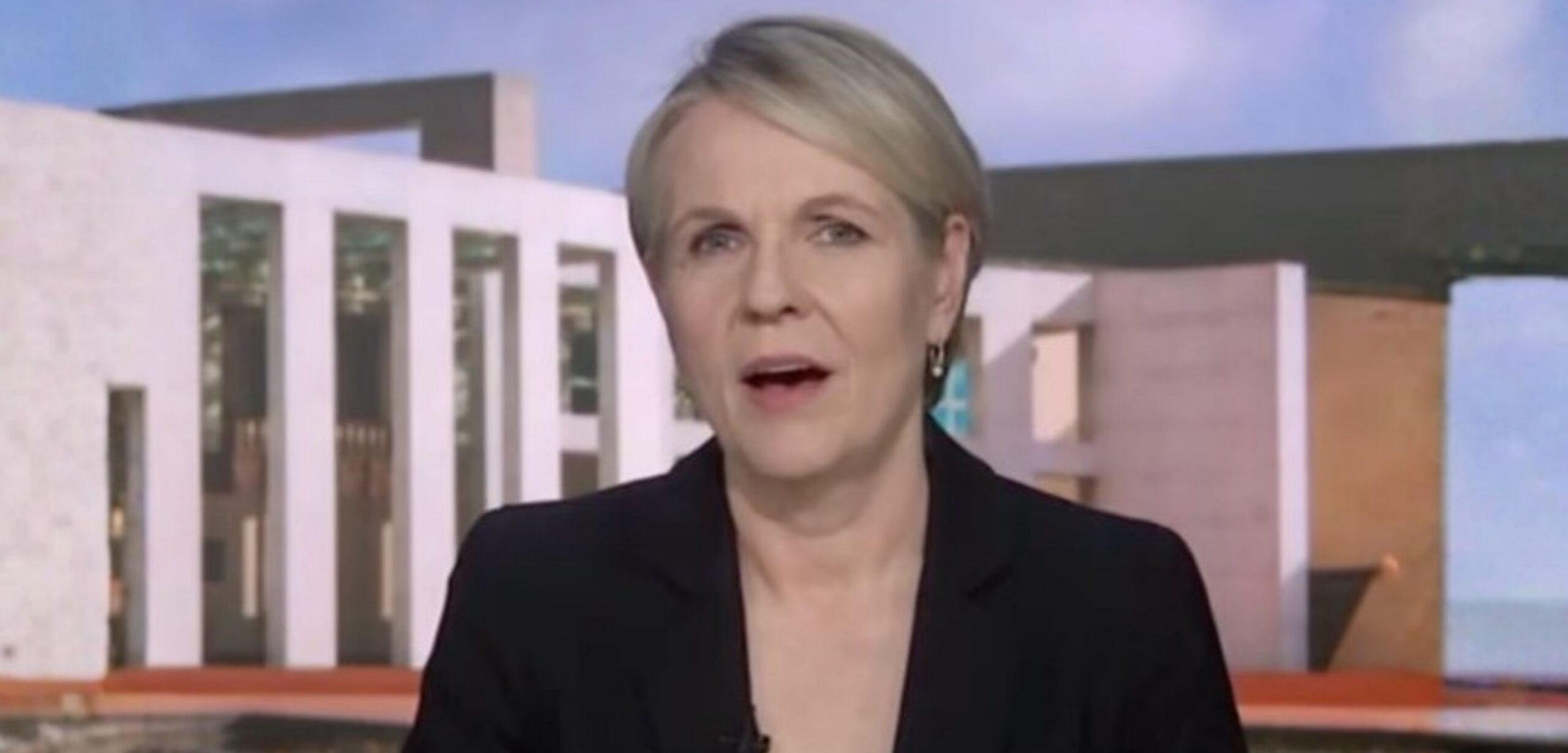 “It Can Cause Death Immediately”: Tanya Plibersek Wants Kids Educated On Erotic Choking
