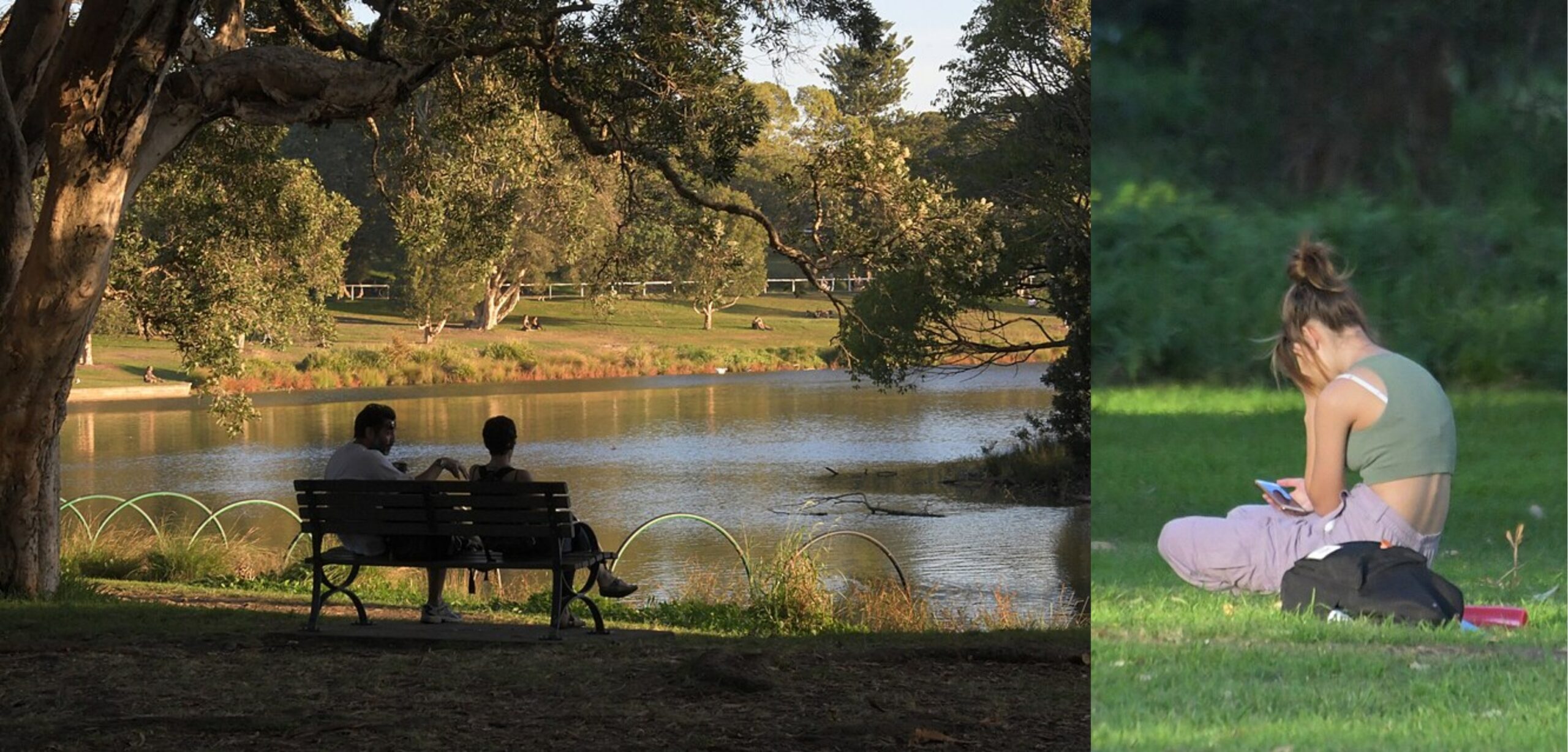 Sydneysiders Invited To Weigh In On Future Of Centennial Parklands