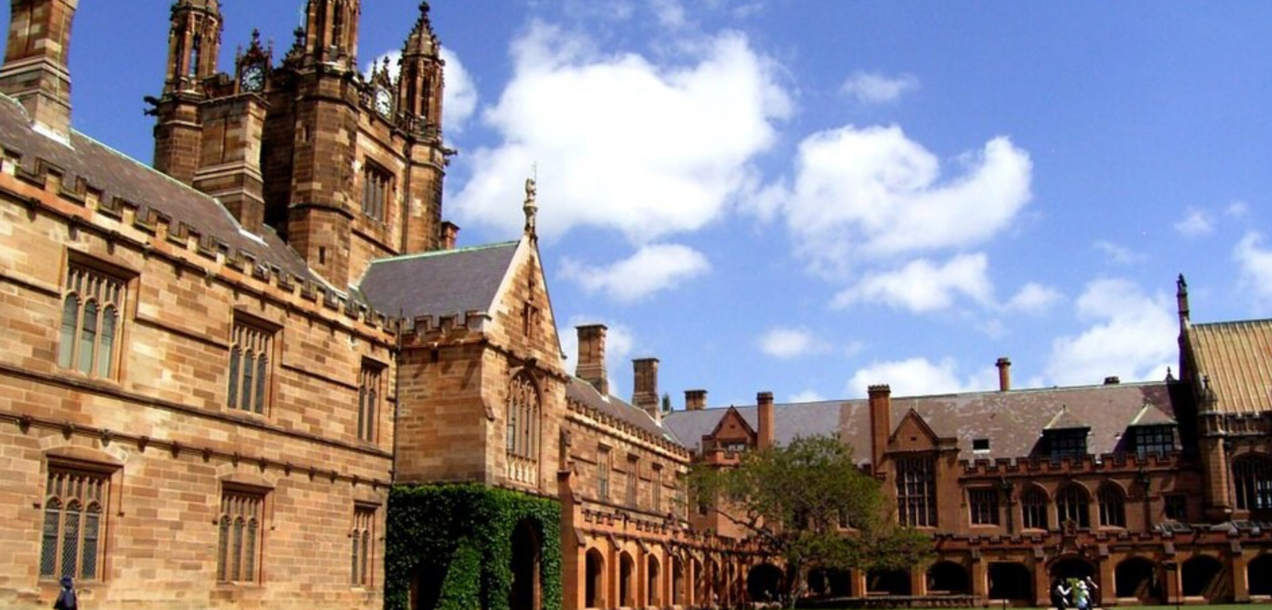 Two Strikes In Two Months: USYD Staff Demand AI Safeguards & Better Pay
