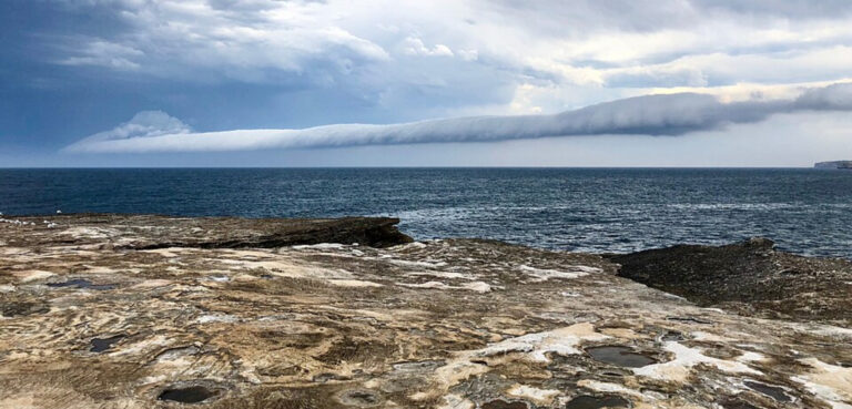 Whale Carcass Closes Maroubra & Coogee Beach