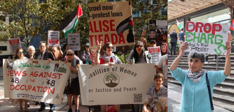 Stop War On Palestine Demand Herzog Protester Charges Be Dropped