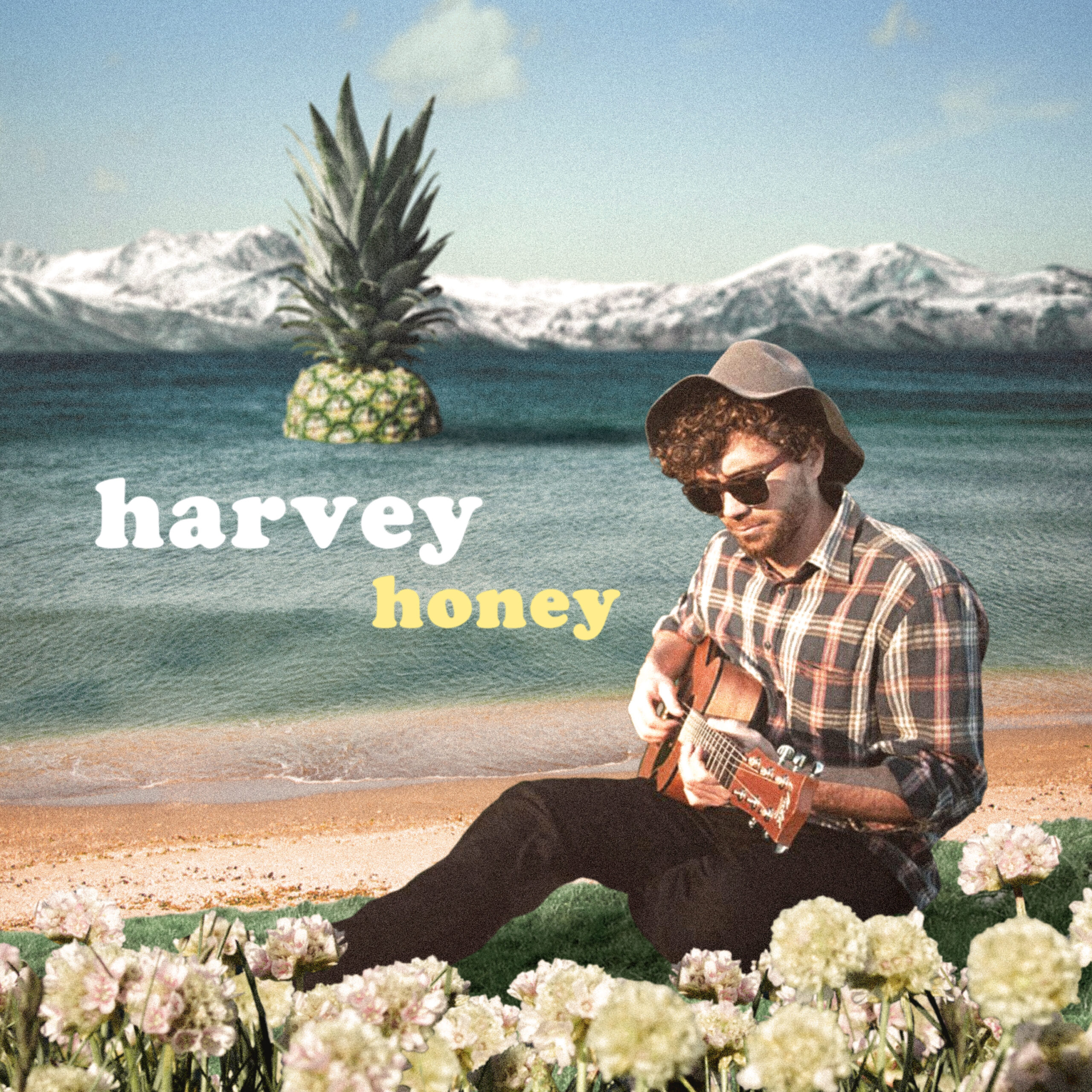 Michael Harvey – Honey