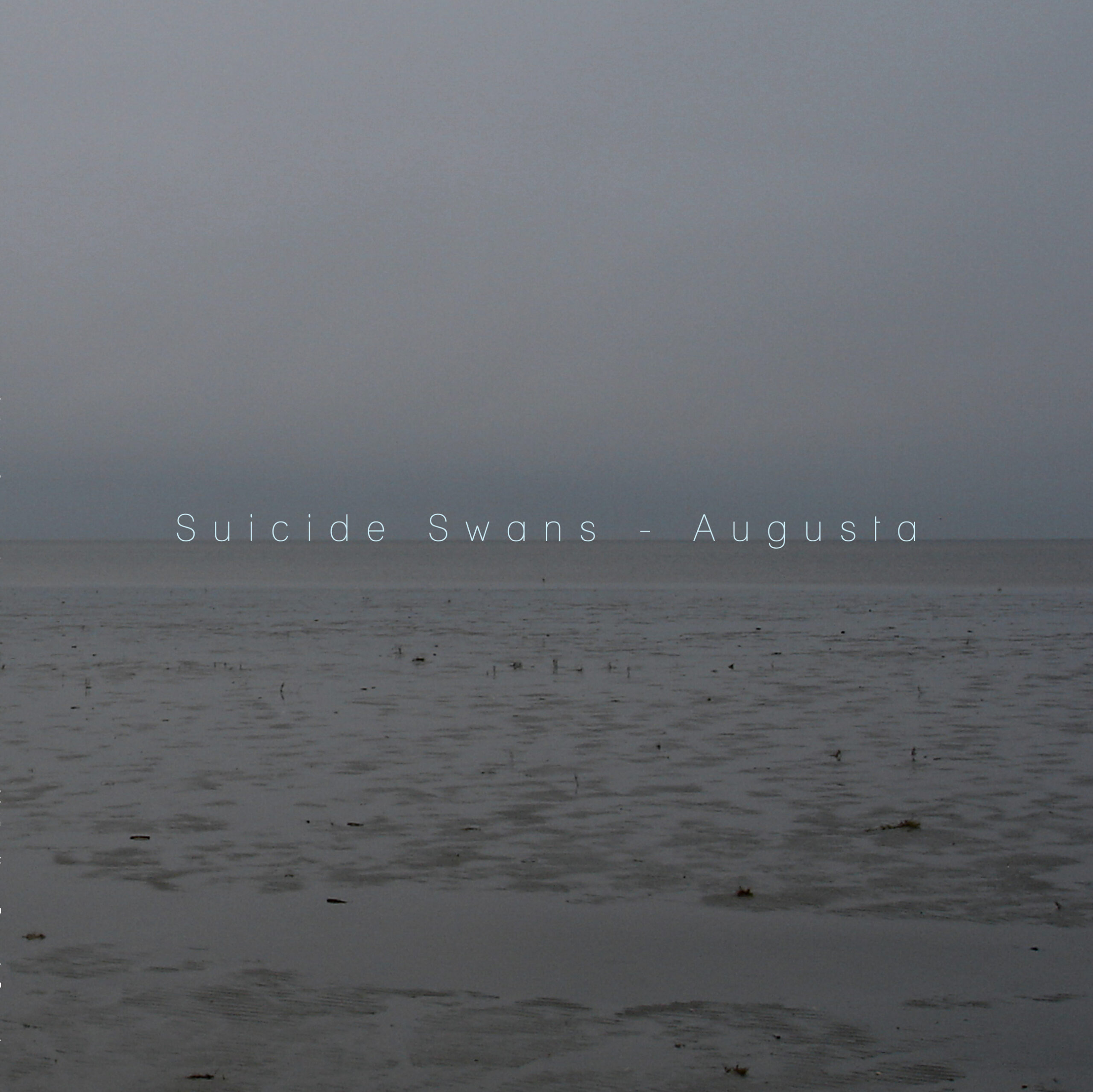 Suicide Swans – Augusta