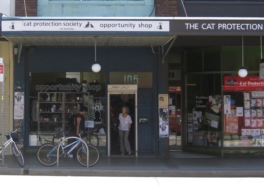 Cat Protection Society Op Shop To Close After 40+ Years