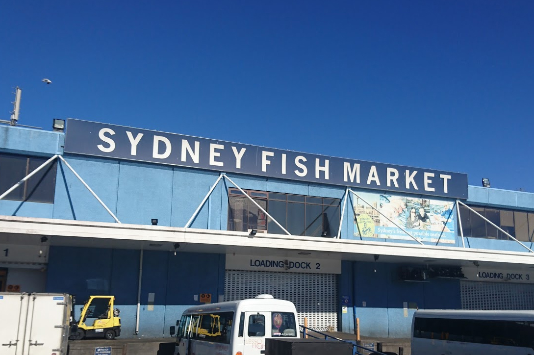 Best Place to Buy Seafood – Sydney Fish Market