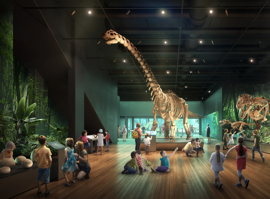 Revamped Australian Museum to reopen next month