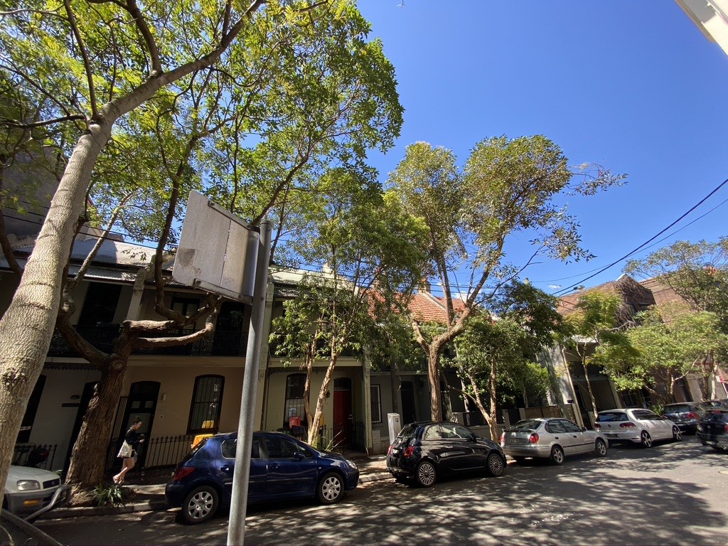 Court refuses development plans to turn Darlinghurst Victorian terraces into a hotel