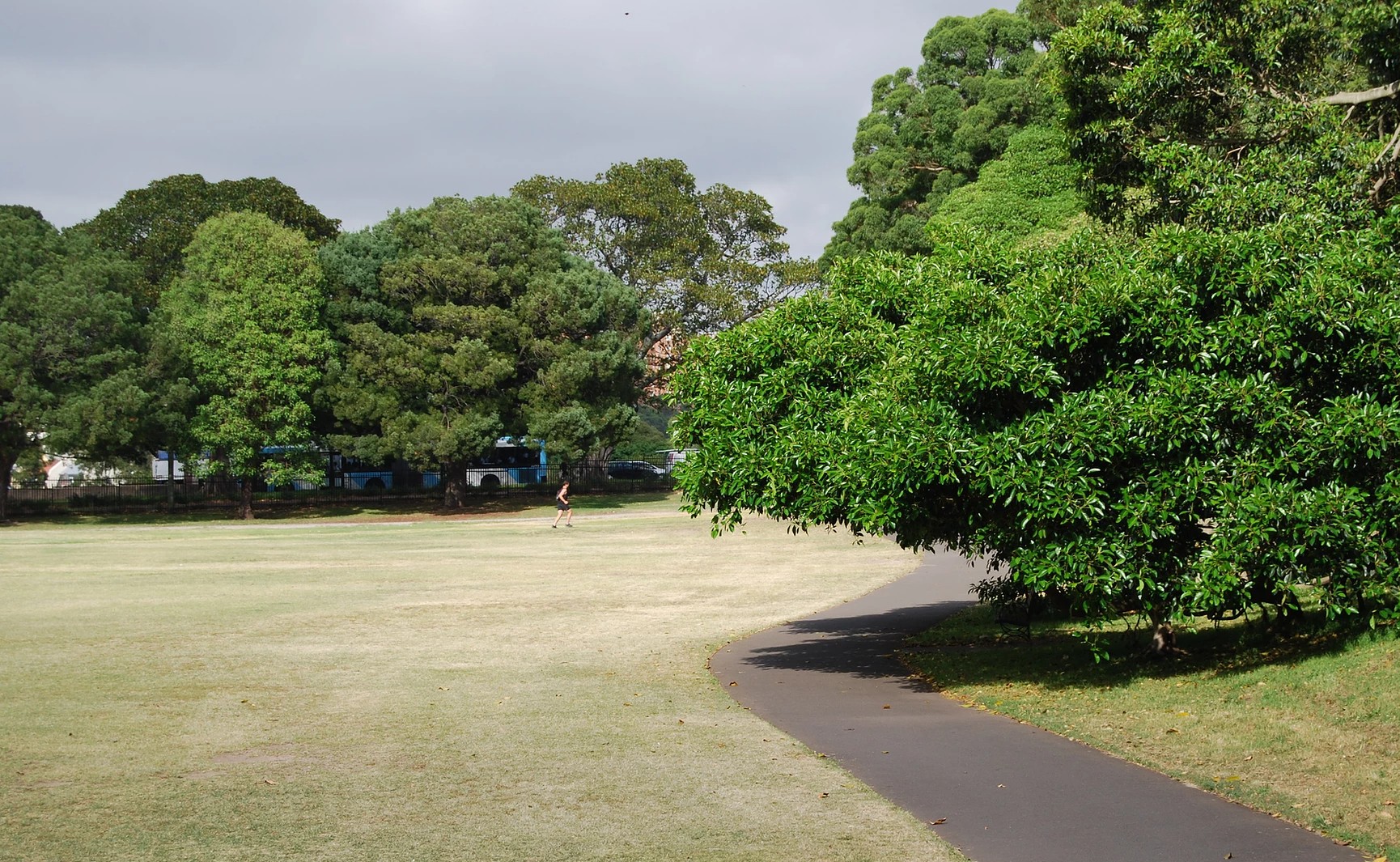 Areas of grass car parking to cease at Moore Park