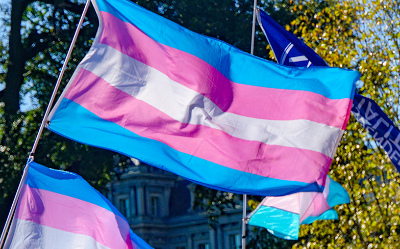 Anti-trans bill supported by Parliament but condemned by trans and gender diverse community