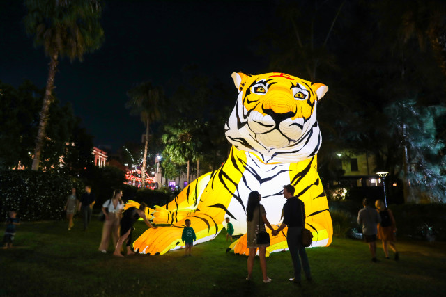 Sydney launches Lunar New Year festivities as prosperous Year of the Tiger awaits
