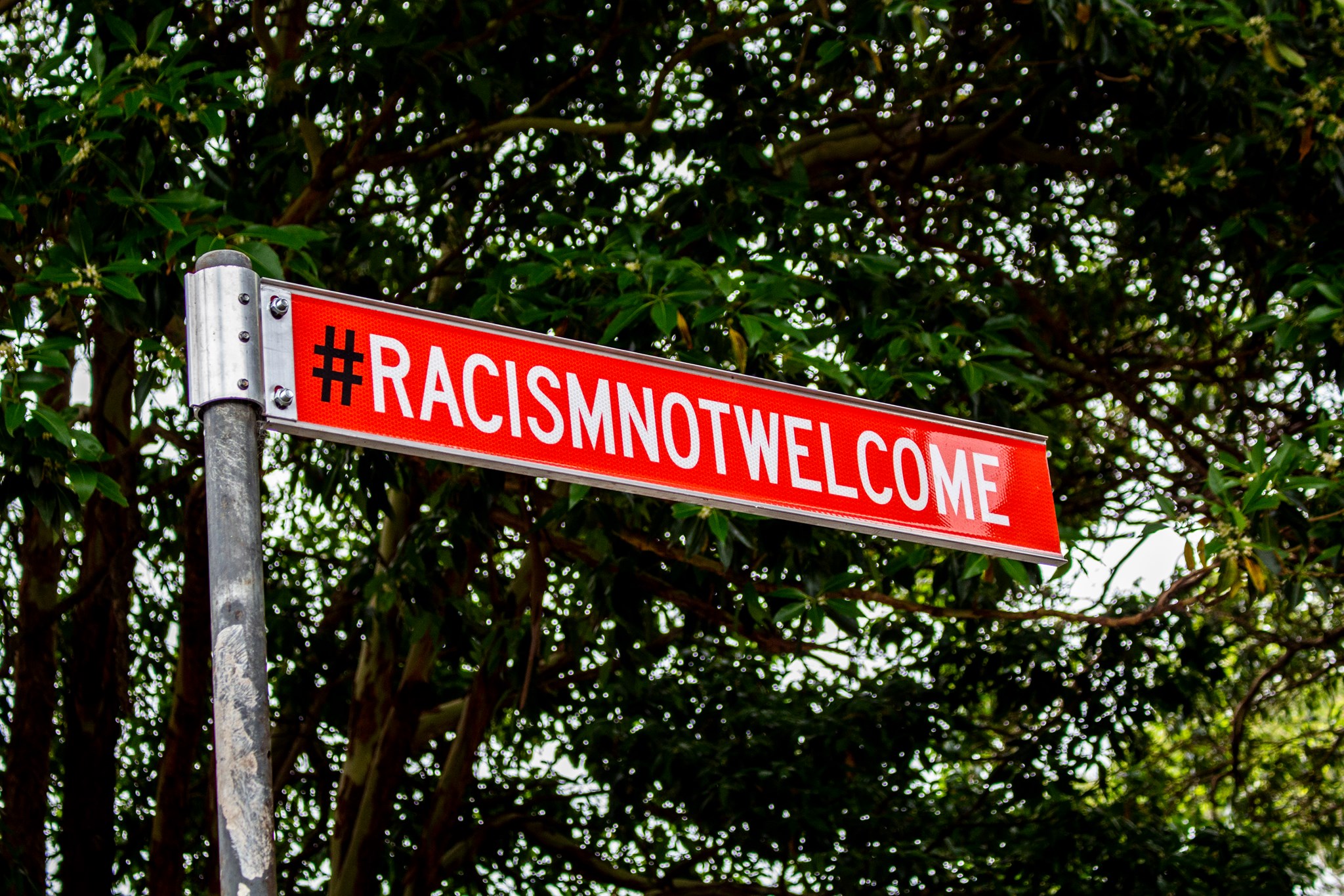 Woollahra councillors move to take down Racism Not Welcome signs
