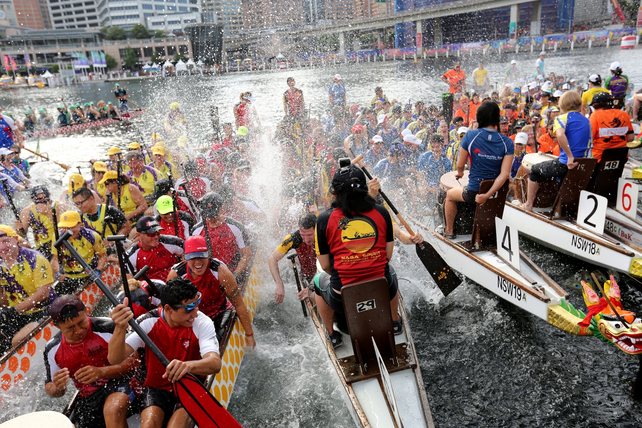 Sydney’s Dragon Boat races roar in the Year of the Tiger