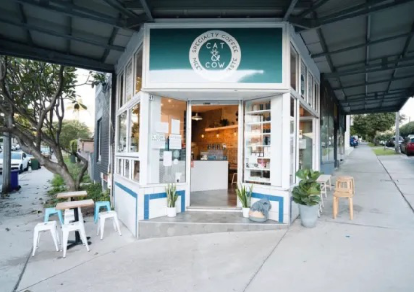 Environmentally Friendly Cafe – Cat & Cow Cafe