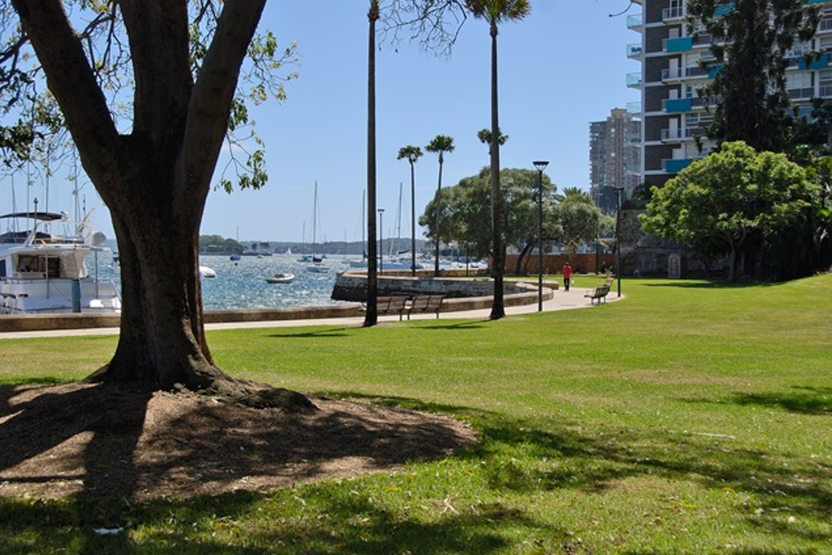 Controversial Rushcutters Bay skatepark back on the agenda