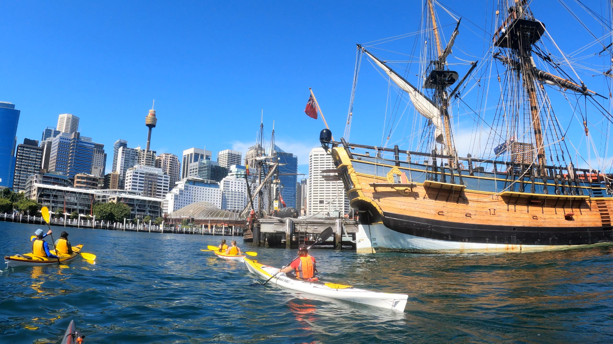 Maritime Museum collaborates with Sydney Harbour Kayaks for new tourist attraction