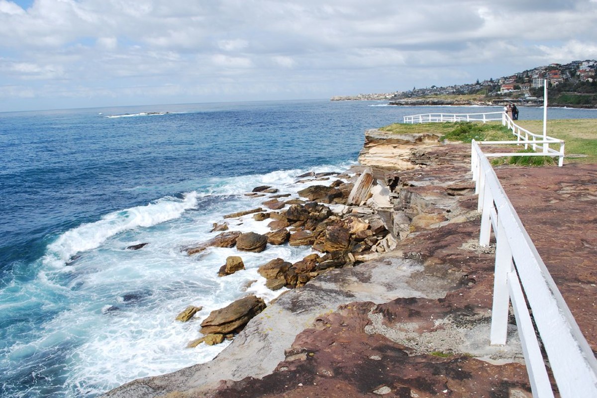 17-year-old boy dies after falling 15 metres down Coogee cliff