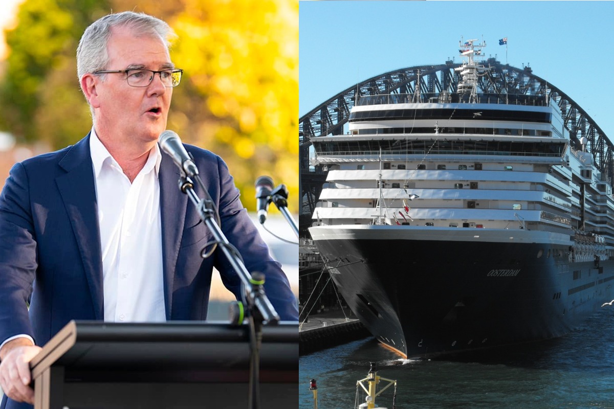 Labor MP opposes controversial Yarra Bay cruise terminal
