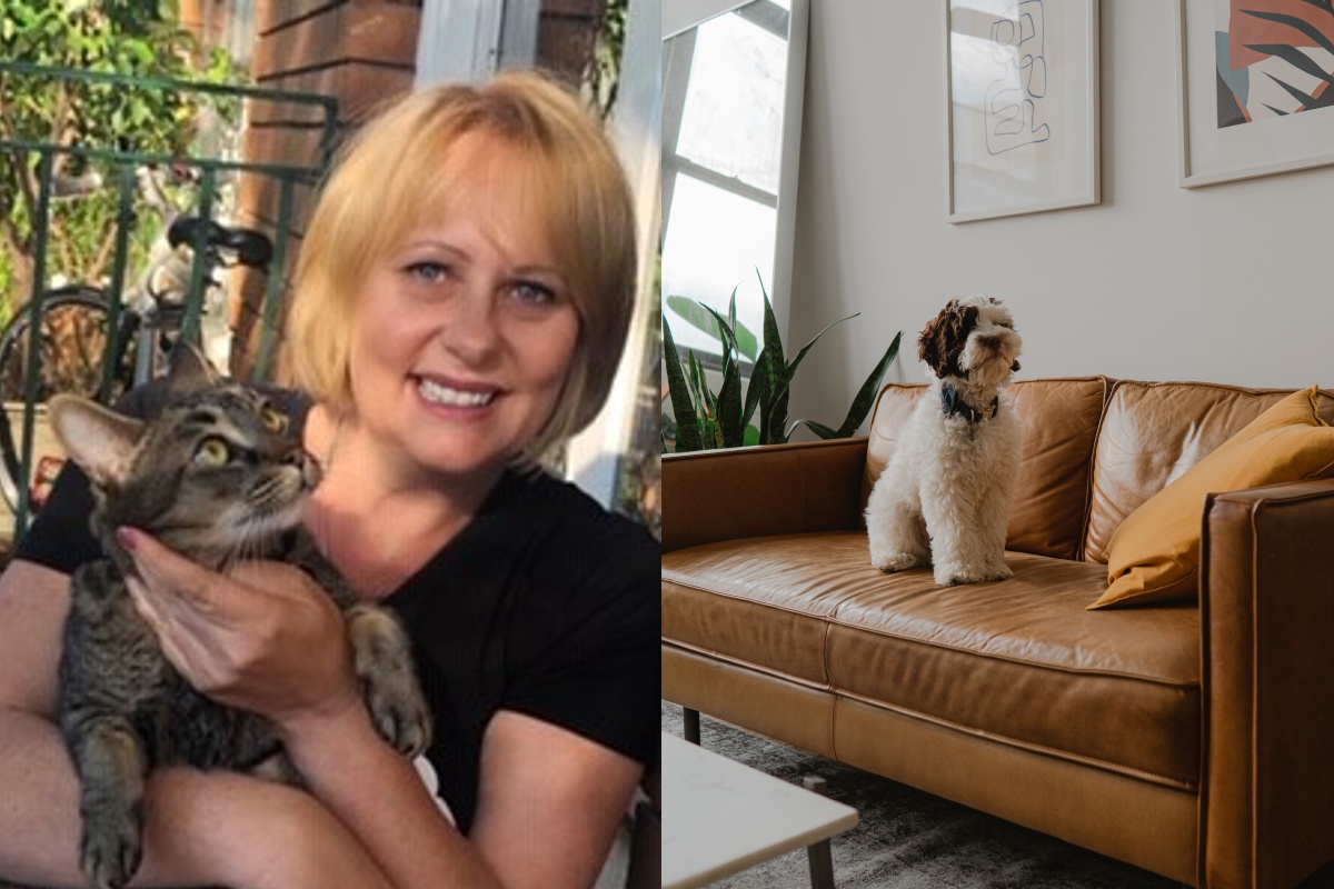 Animal Justice Party candidate Linda Paull on why allowing pets for all renters is crucial