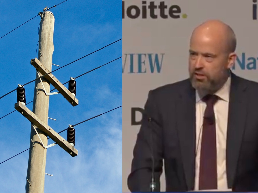 Ausgrid continues to give fines for corflutes on power poles, issue in east brought to council