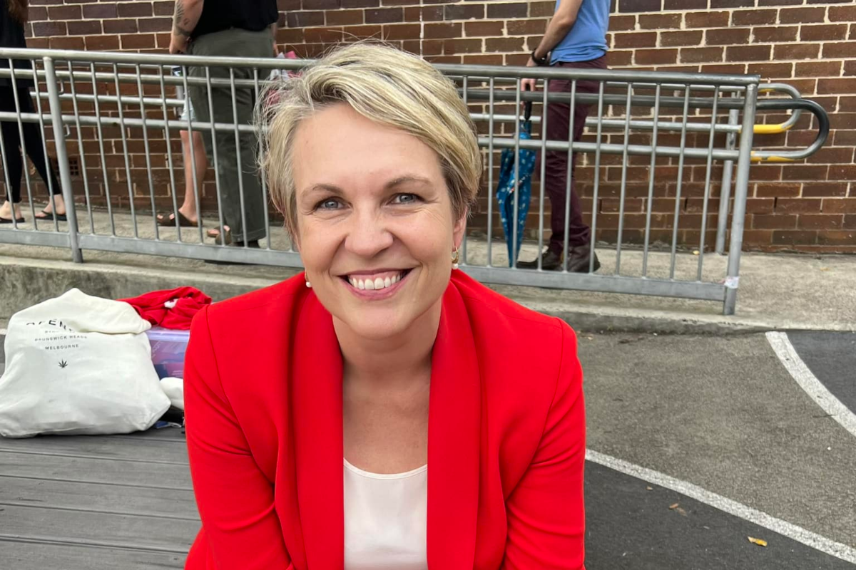Environment group takes Tanya Plibersek to court over coal mine assessments