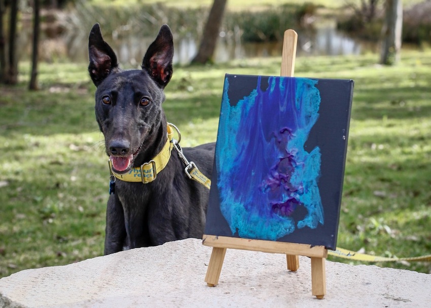 Auction for greyhound-created artworks held at Yulli’s Brews this month