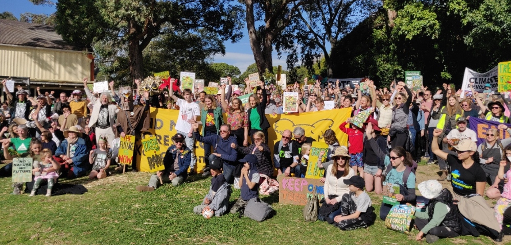 Environmental activists rally in Sydney to end native forest logging