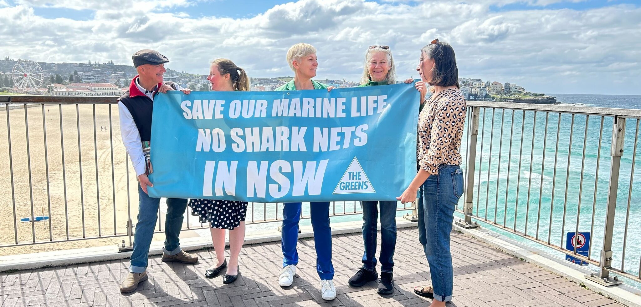 New report renews calls to end Shark Meshing Program in NSW