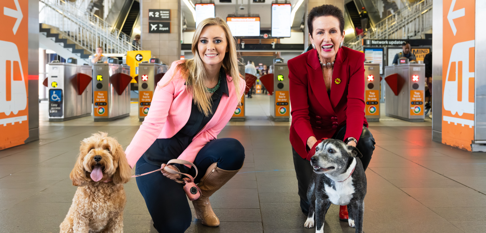 City of Sydney Council is pushing for pets on public transport