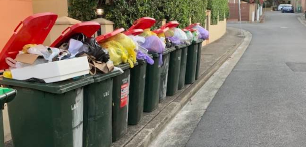 “Slap in the face”: Local residents angered by Inner West Council’s response to stinking bins