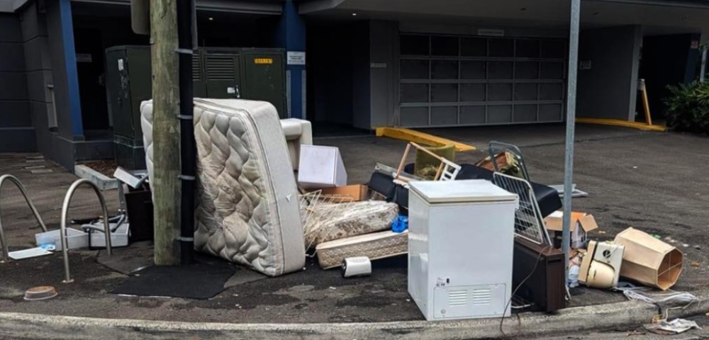 Sydney councillor responds to local outrage over overflowing bins and maggots