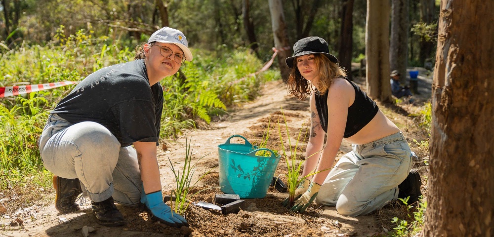 Sydney To Go Greener With New $3.25 Million Investment