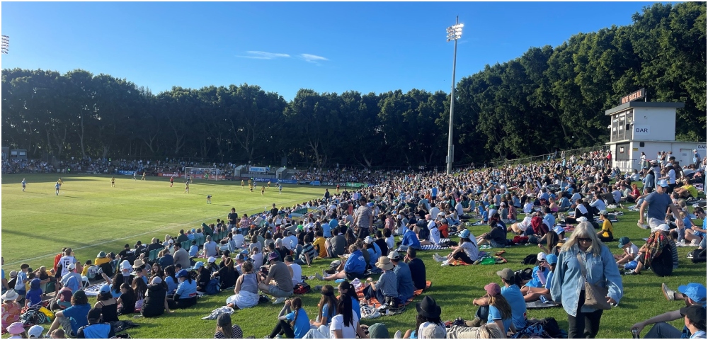 Sydney Inner West Mayor Proposes Leichhardt Oval For Concert Use