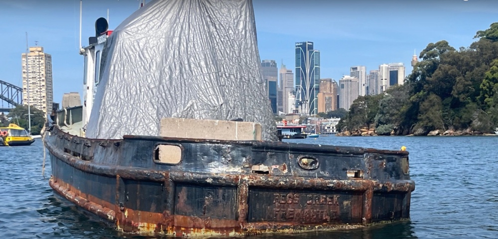 Save Our Sydney Harbour: Community Campaigns To Tackle Pollution and Harbour Junkyard