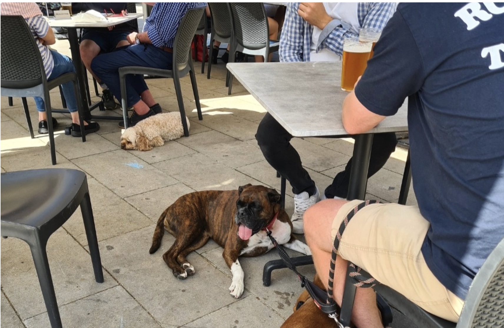 Pyrmont Point Hotel, a classic corner pub