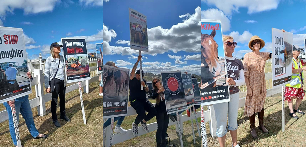 Organisers Say ‘Nup to the Cup’ Events Becoming More & More Popular On Melbourne Cup Day