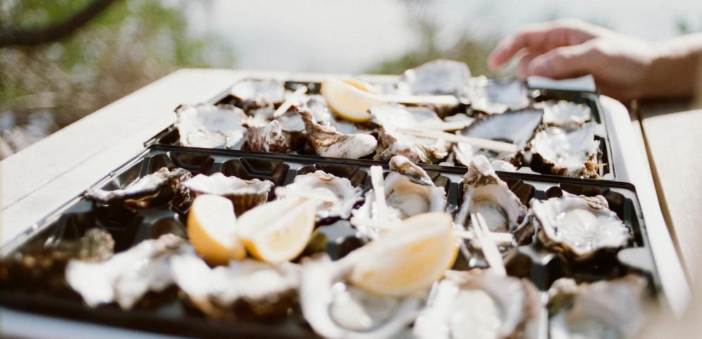 NSW Oyster Thefts: Farmers Say Approx. 100,000 Oysters Have Been Stolen